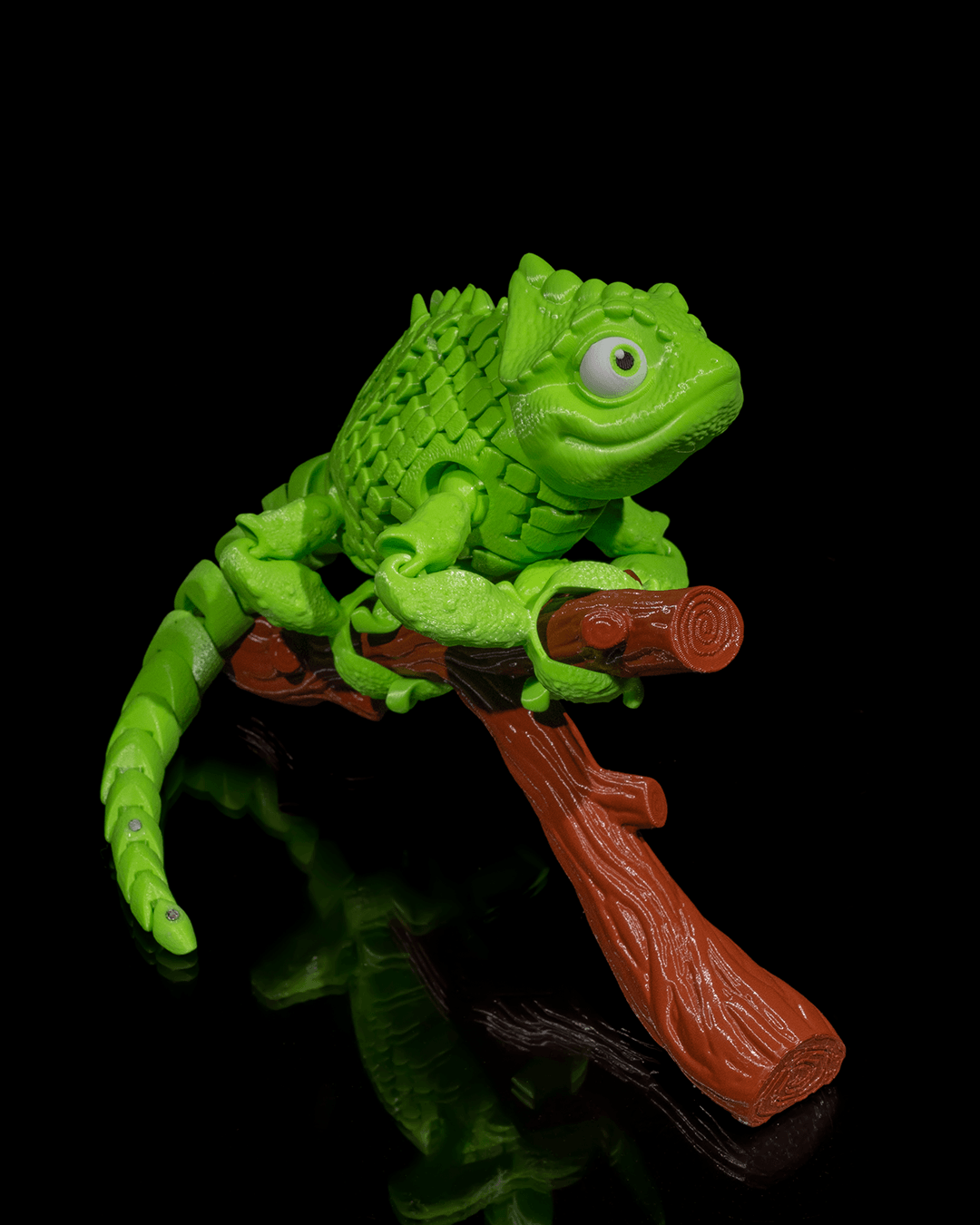 Chameleon on a tree branch